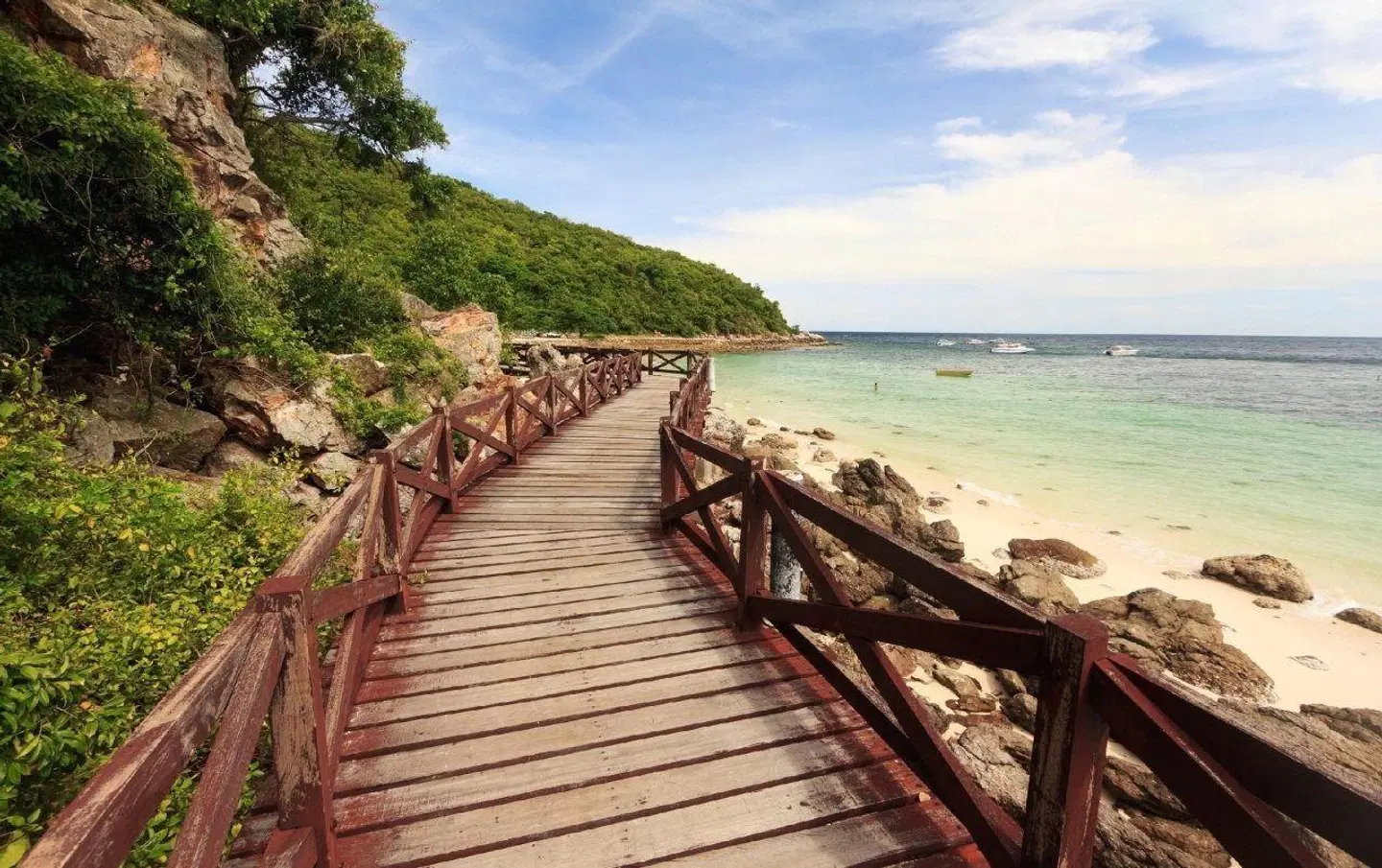 Cosy Beach LANDSCAPE