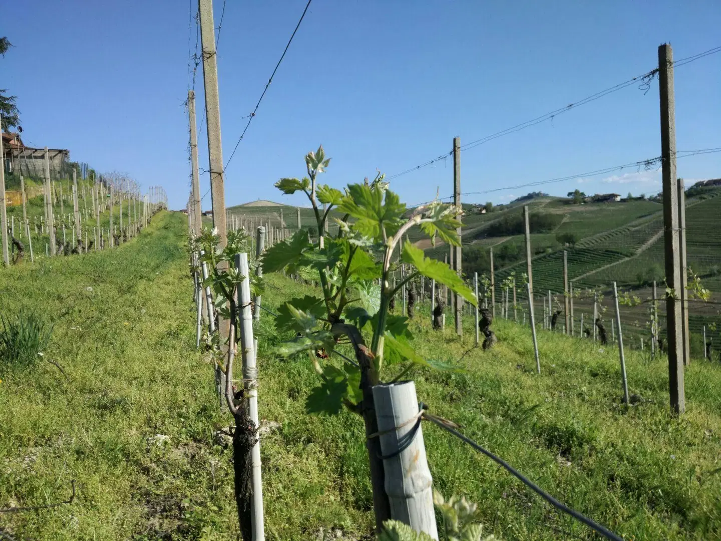 Agriturismo La Biòca SPORTS_AND_LEISURE