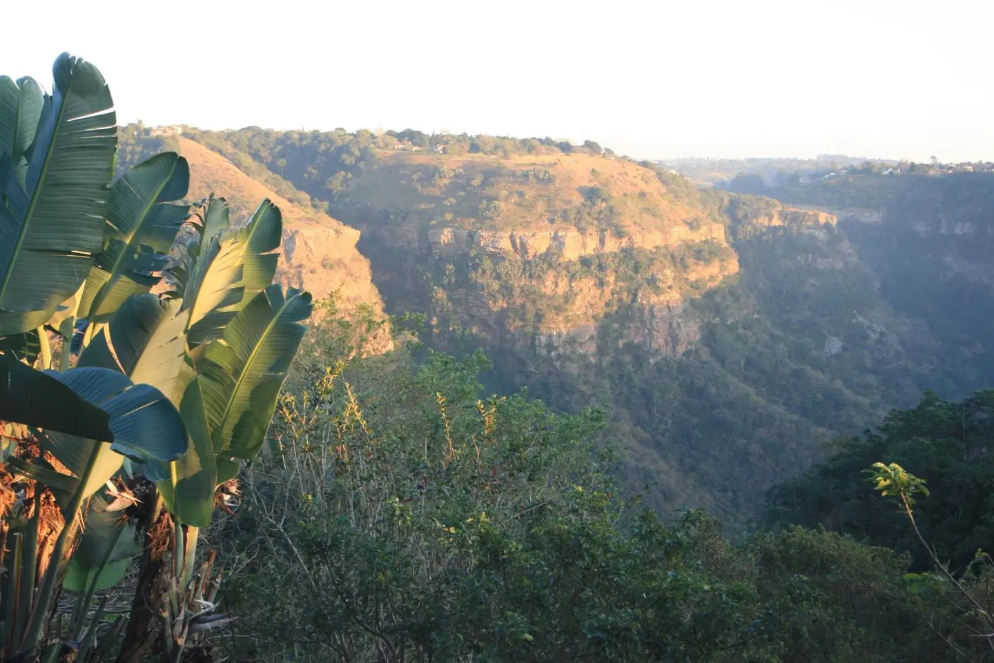 AmmaZulu African Palace LANDSCAPE