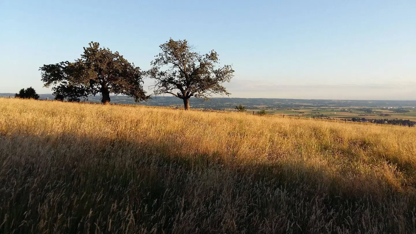 Au Dessus de Parady LANDSCAPE