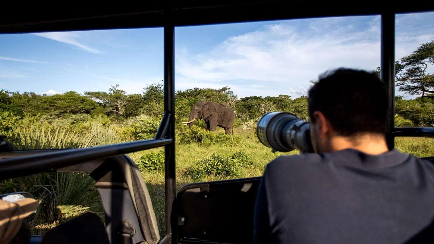 Royal Thonga Safari Lodge Garten