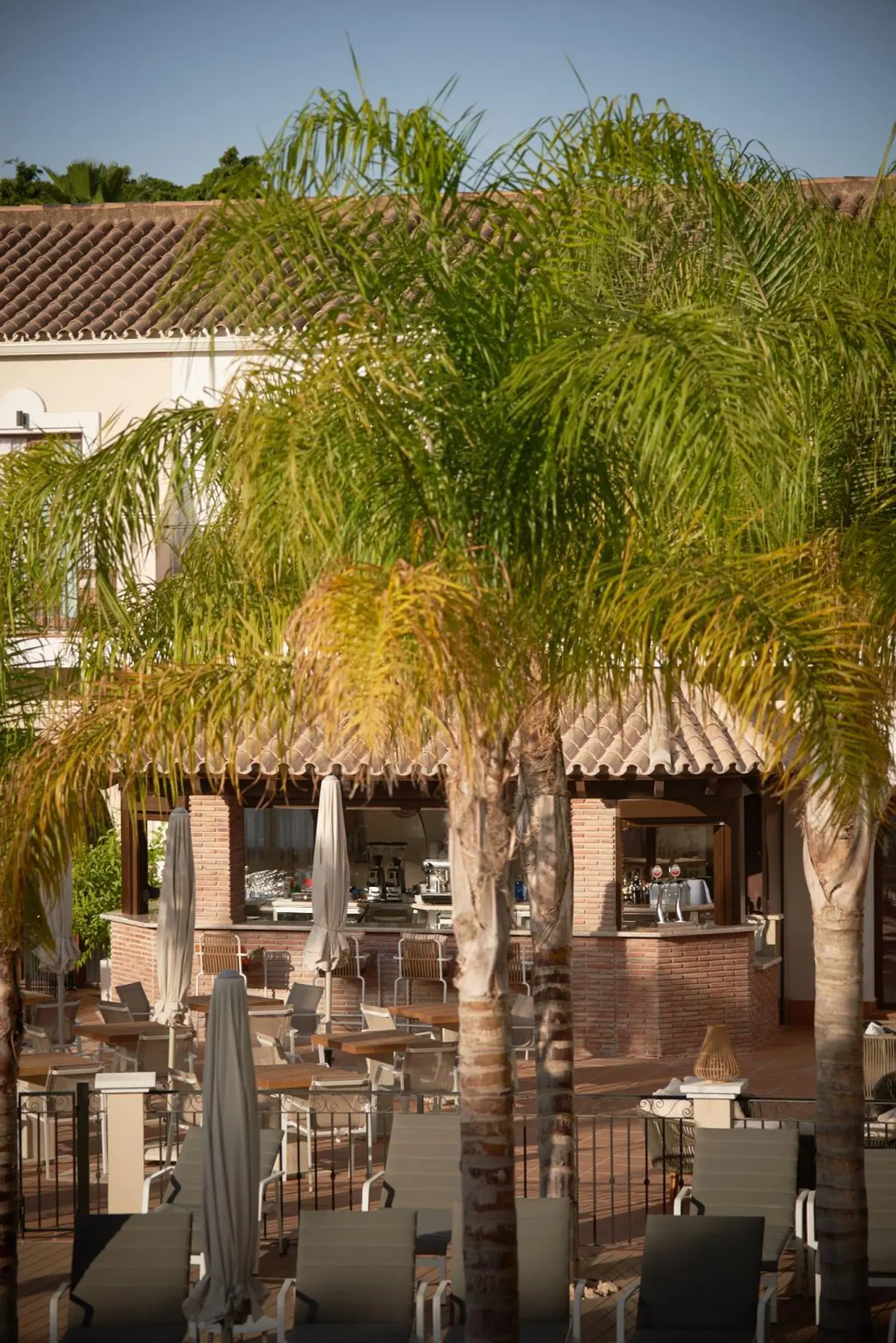 Paloma Blanca Boutique Hotel Terrasse