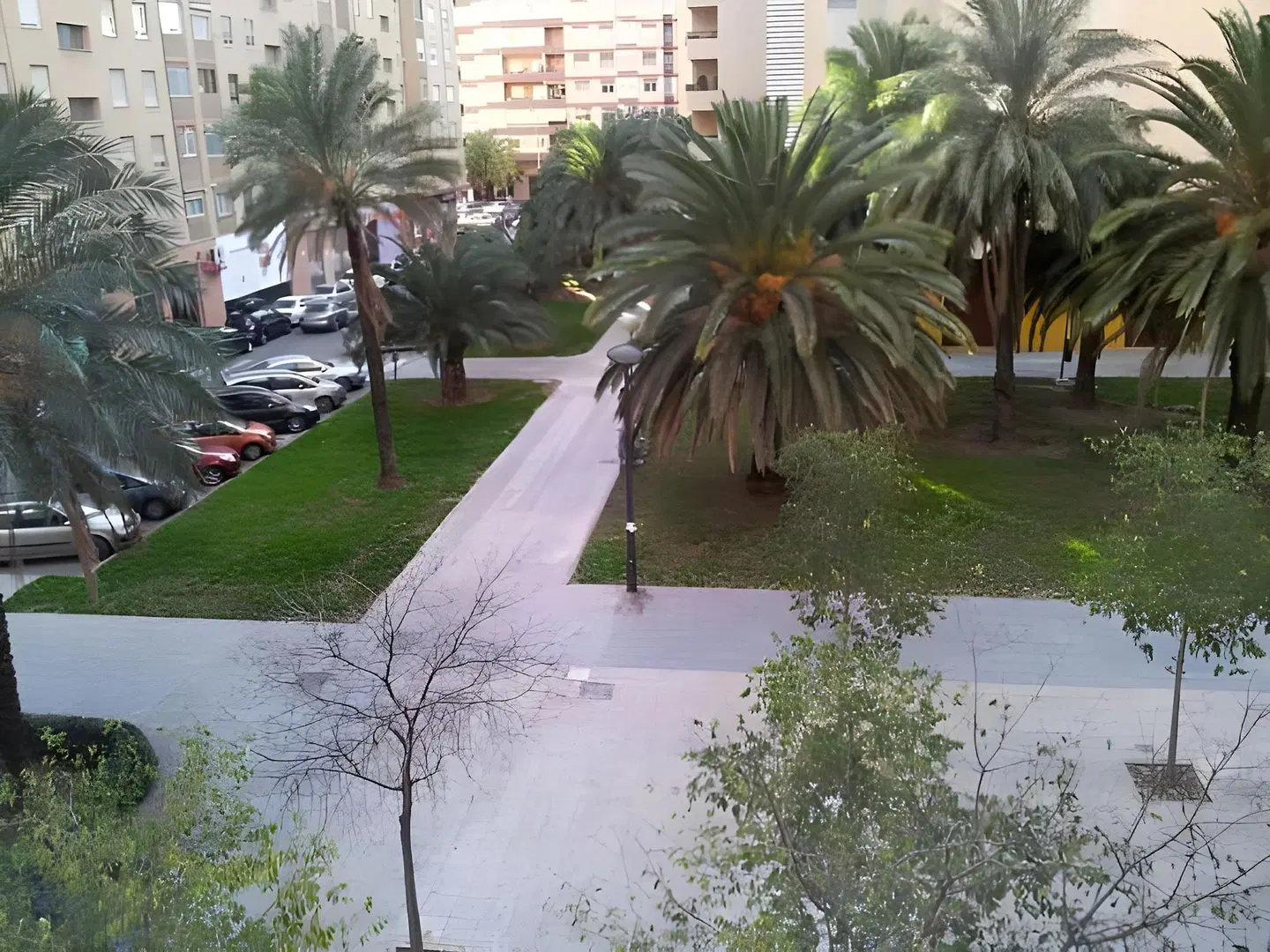 Apartamentos Plaza Picasso Garten