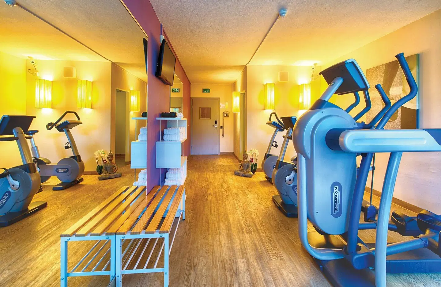 Leonardo Hotel Heidelberg-Walldorf SPORTS_AND_LEISURE