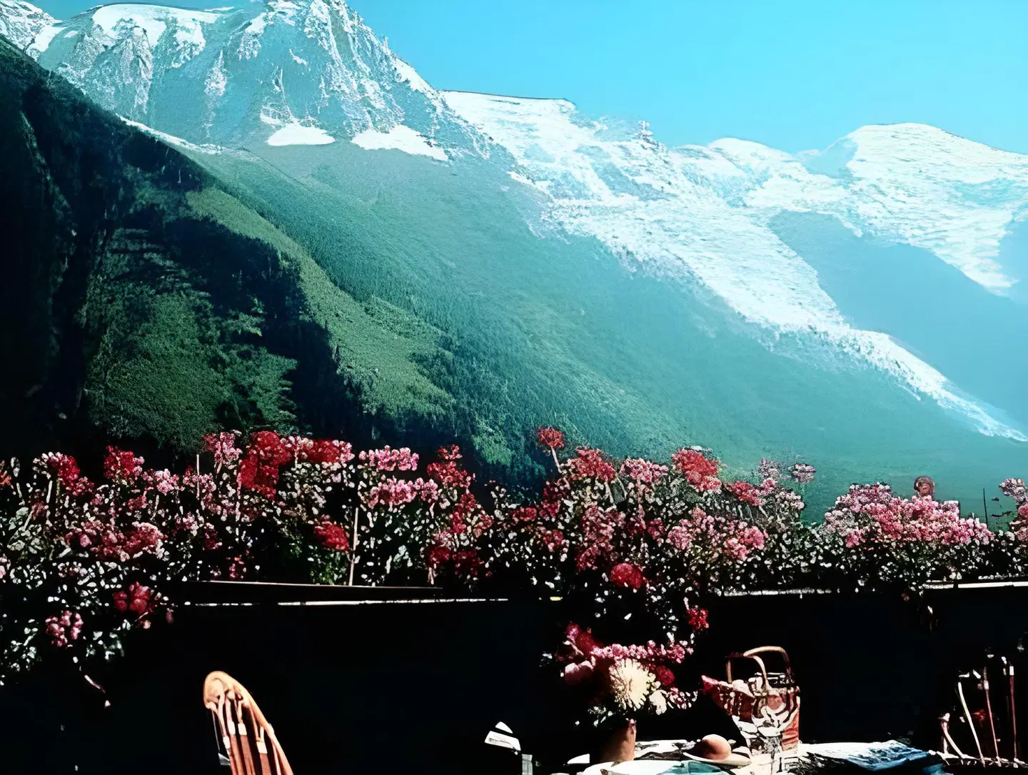 Auberge du Bois Prin Terrasse