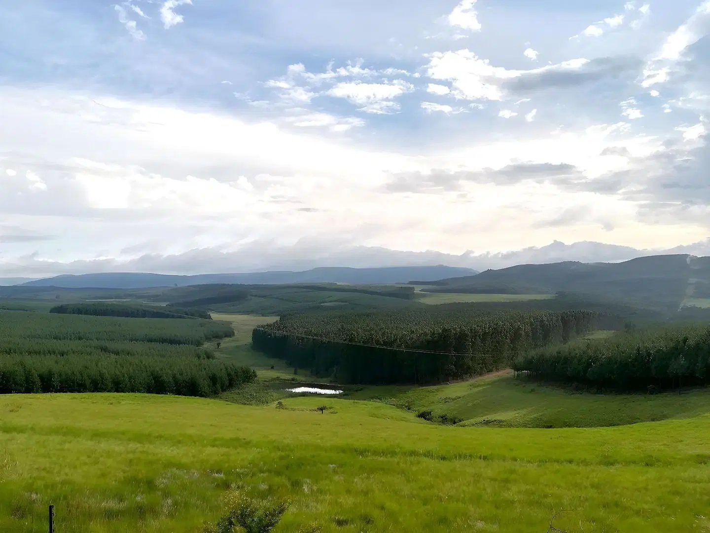 Curry's Post Bed and Breakfast LANDSCAPE