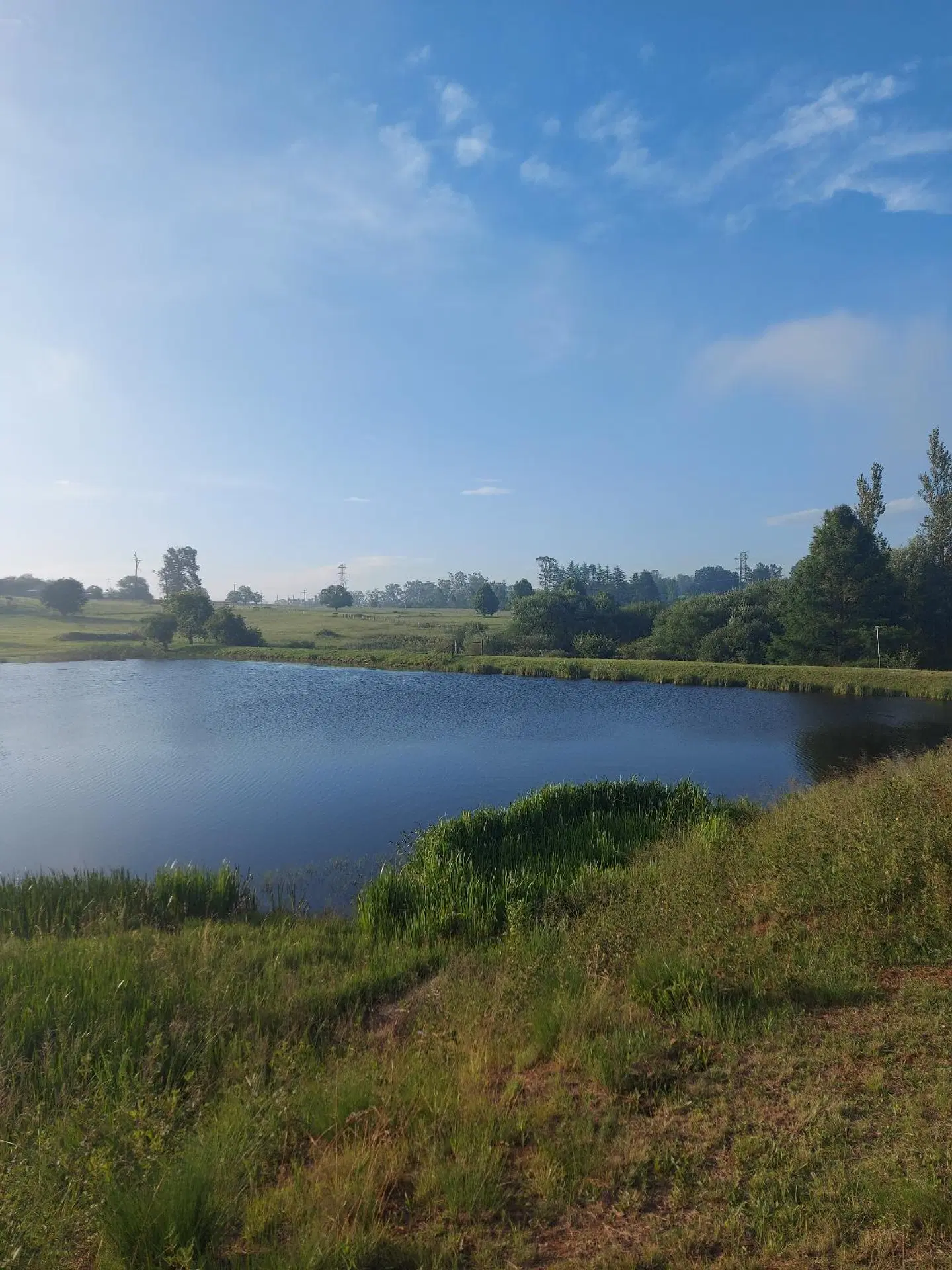 Little Milton LANDSCAPE