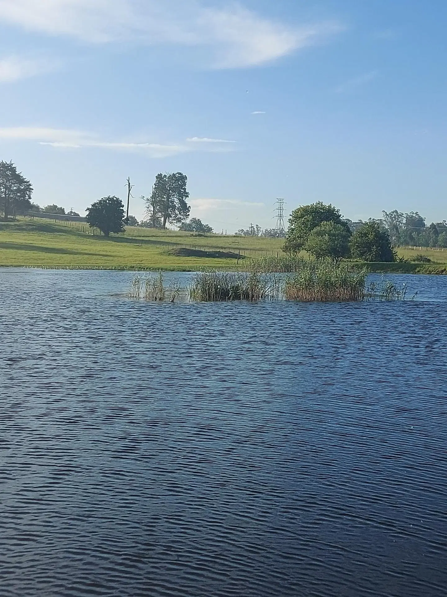 Little Milton LANDSCAPE