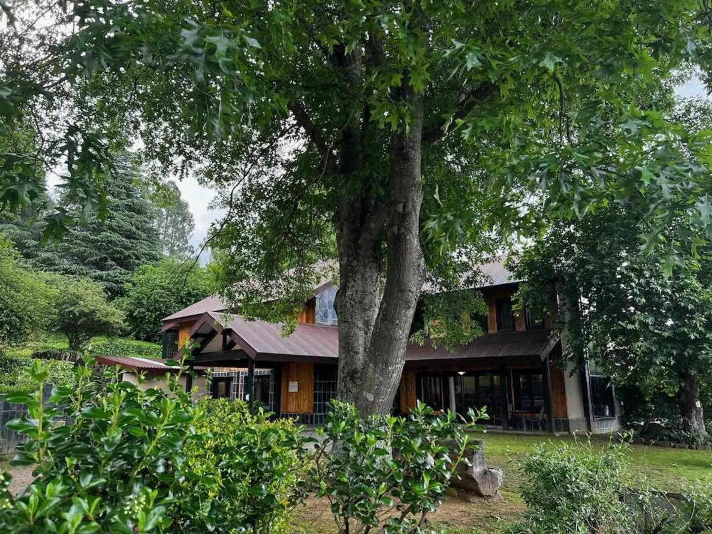 Malachite Manor Garten