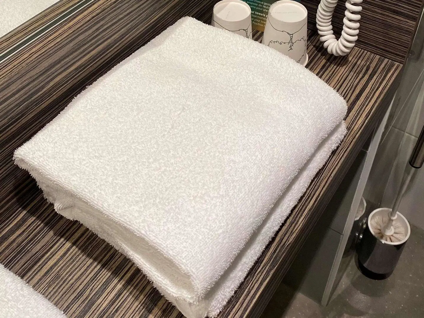 ibis Styles Lyon Sud Vienne Konferenz