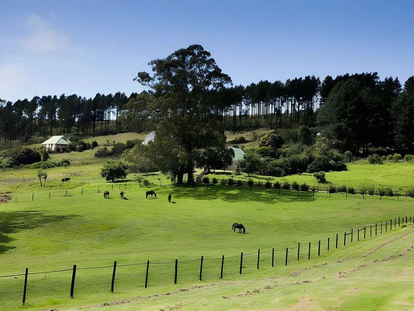 Old Halliwell Country Inn SPORTS_AND_LEISURE