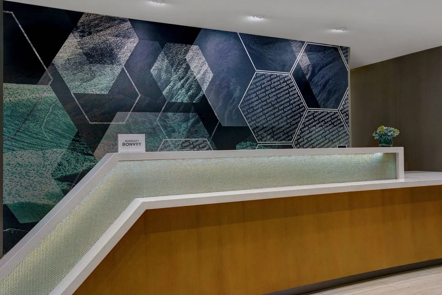 SpringHill Suites by Marriott Franklin Cool Springs ROOM_EXAMPLE
