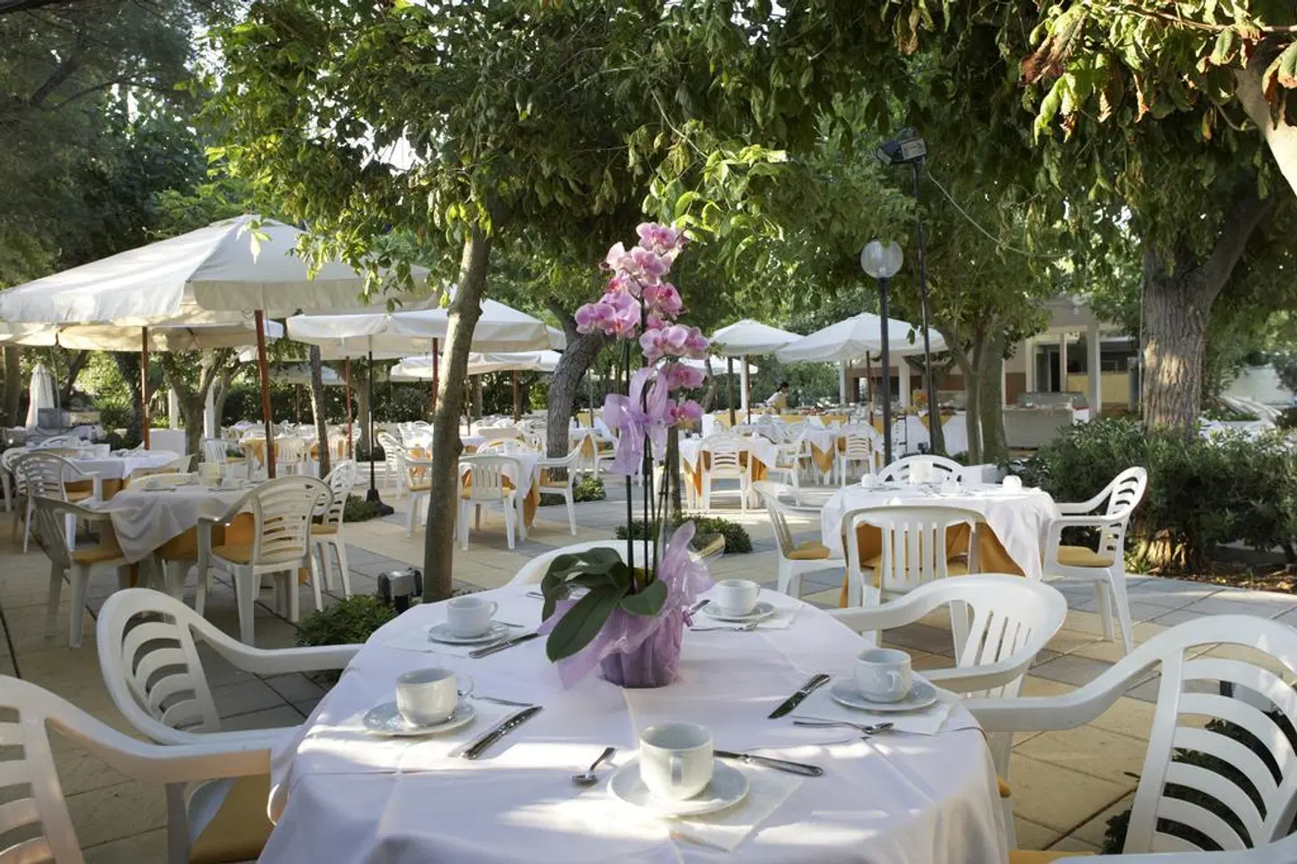Alexandra Plaza Hotel Restaurant