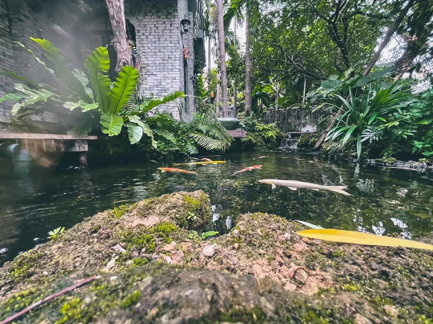 Bangkok Oasis Hotel Garten