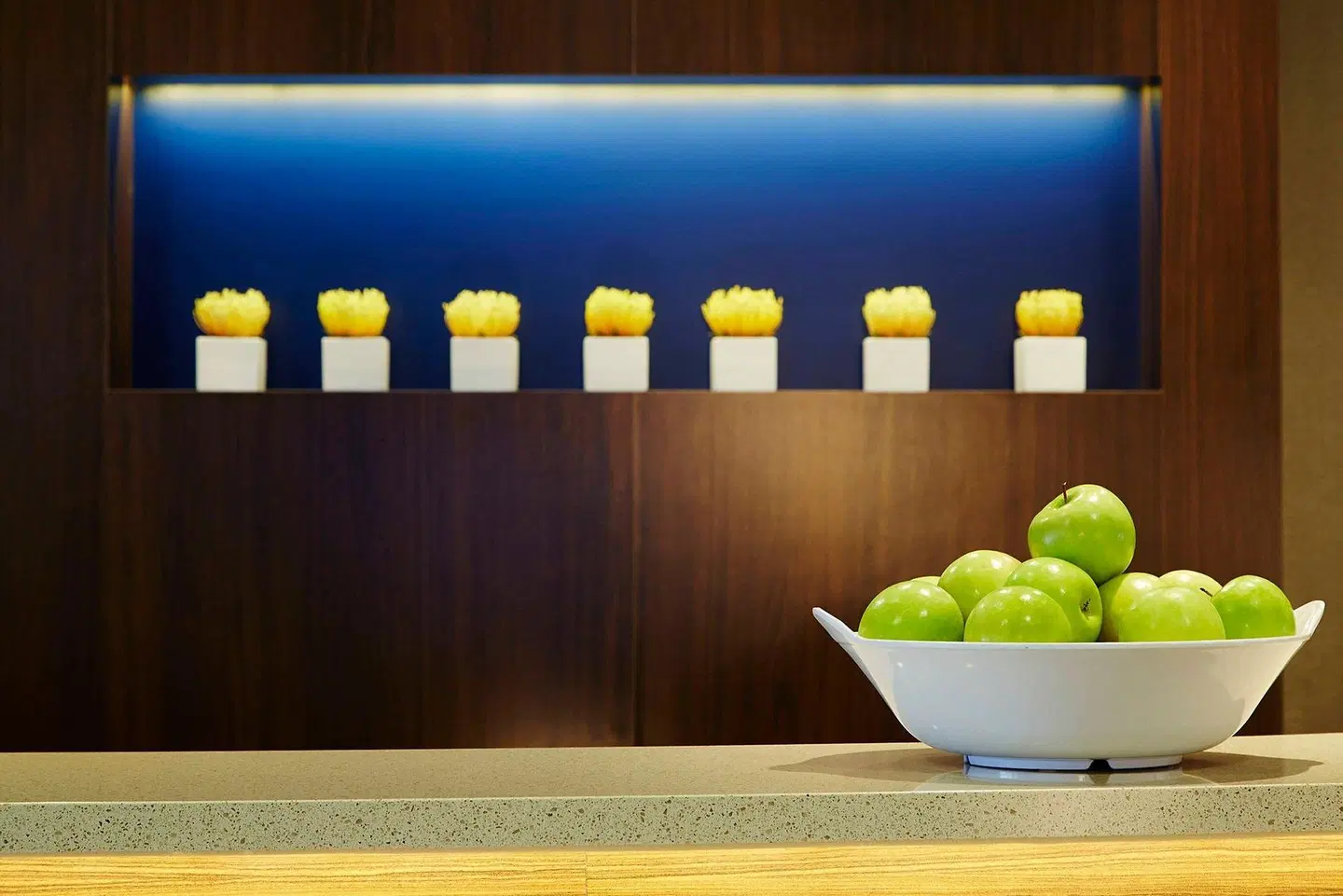 Courtyard by Marriott Boston Natick Konferenz