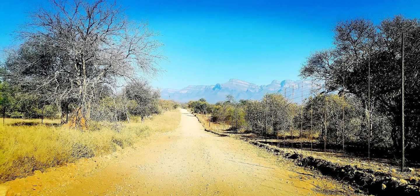 Mali Mali Safari Lodge LANDSCAPE