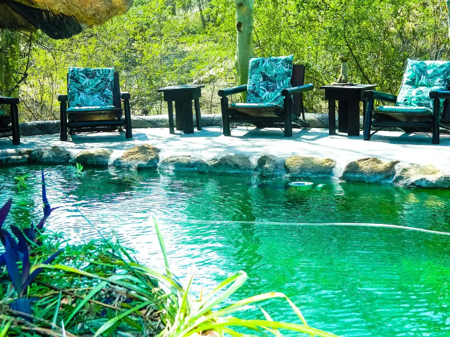 Mali Mali Safari Lodge OUTDOOR_POOL