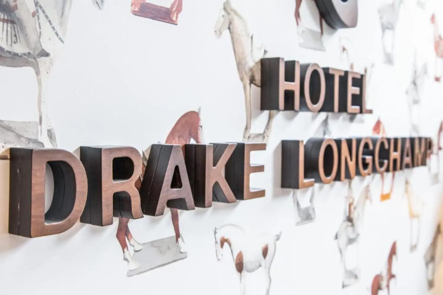 Drake-Longchamp MODEL_IMPRESSION