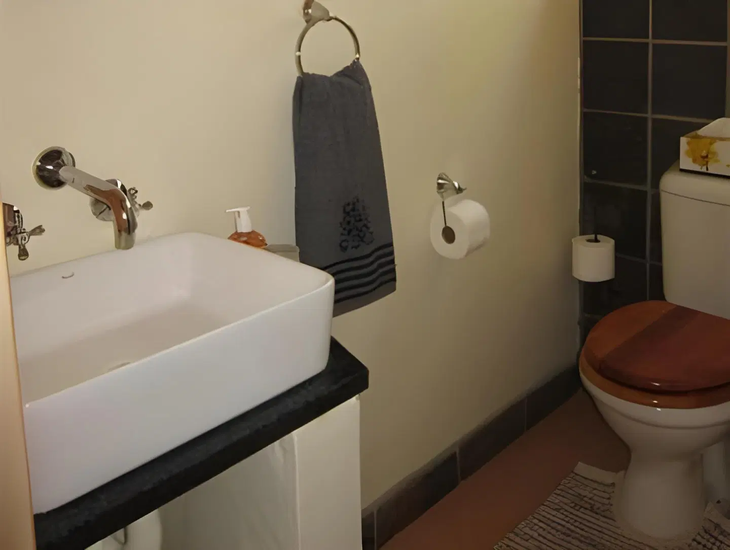 Marula Cottage Guest Lodge Badezimmer