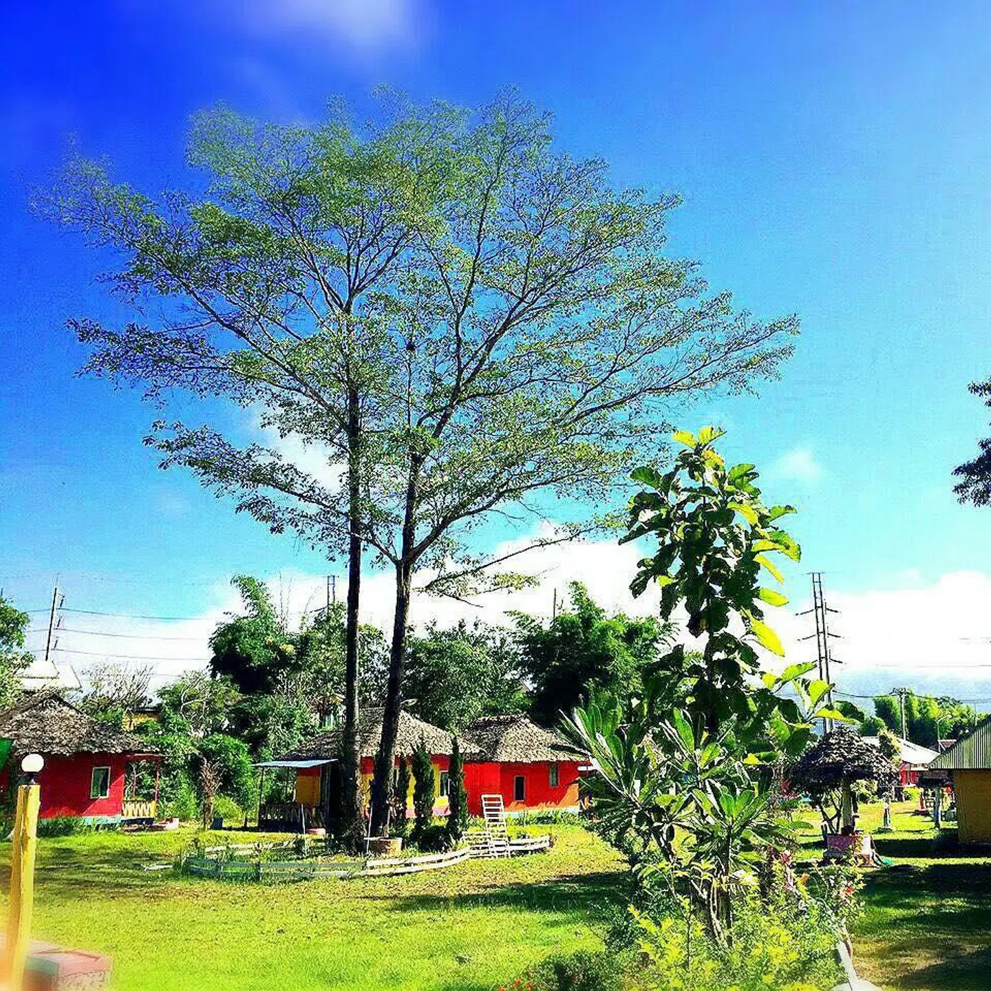 Pai Forest Resort Garten