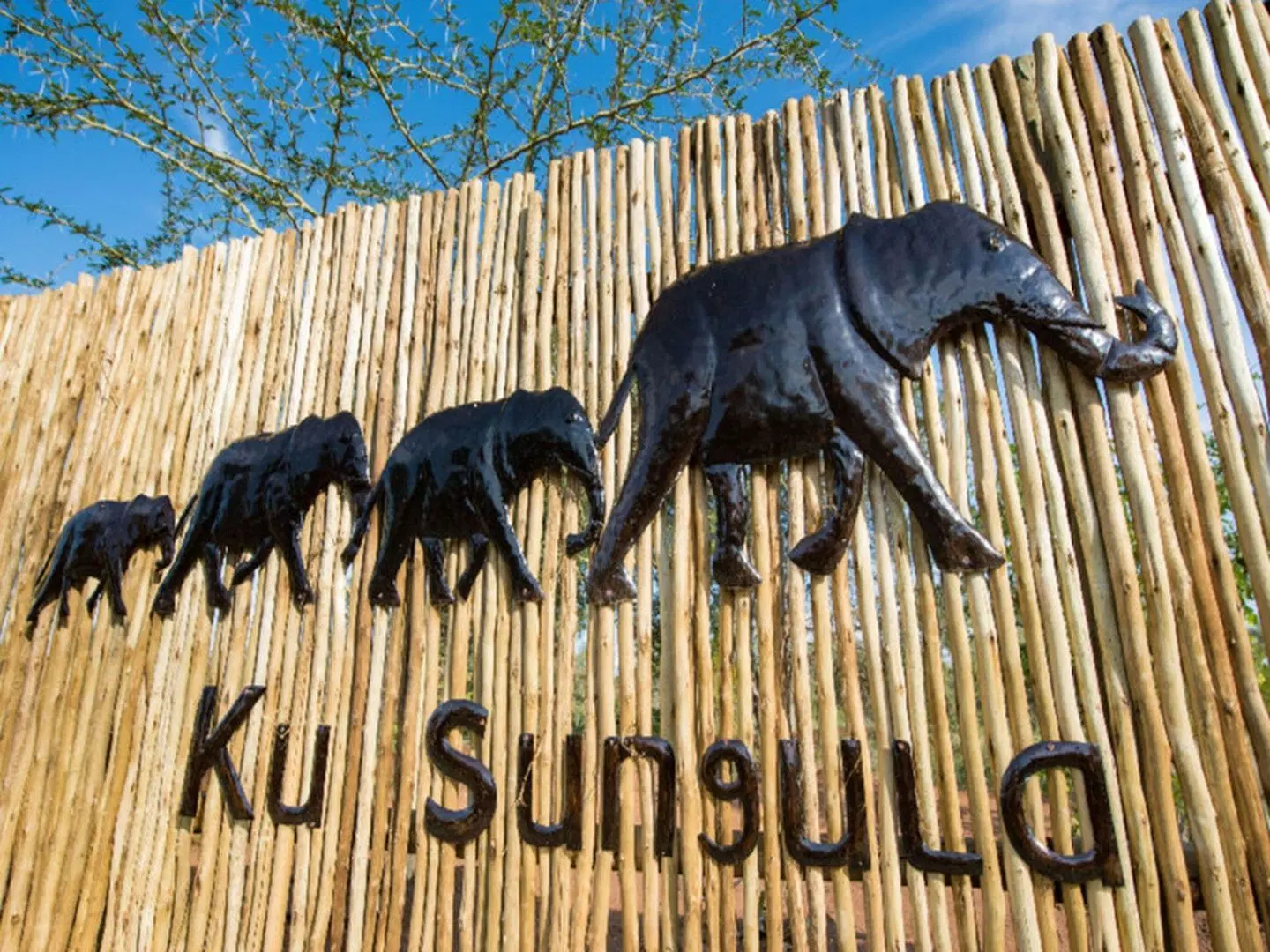 Ku Sungula Safari Lodge (Miriam Safari's t/a) Tiere