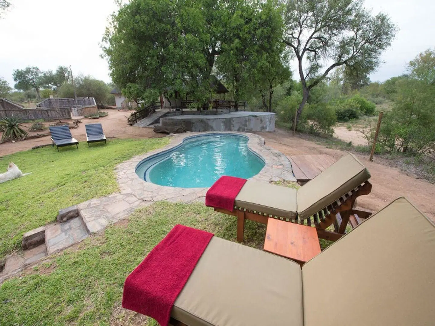 Ku Sungula Safari Lodge (Miriam Safari's t/a) OUTDOOR_POOL