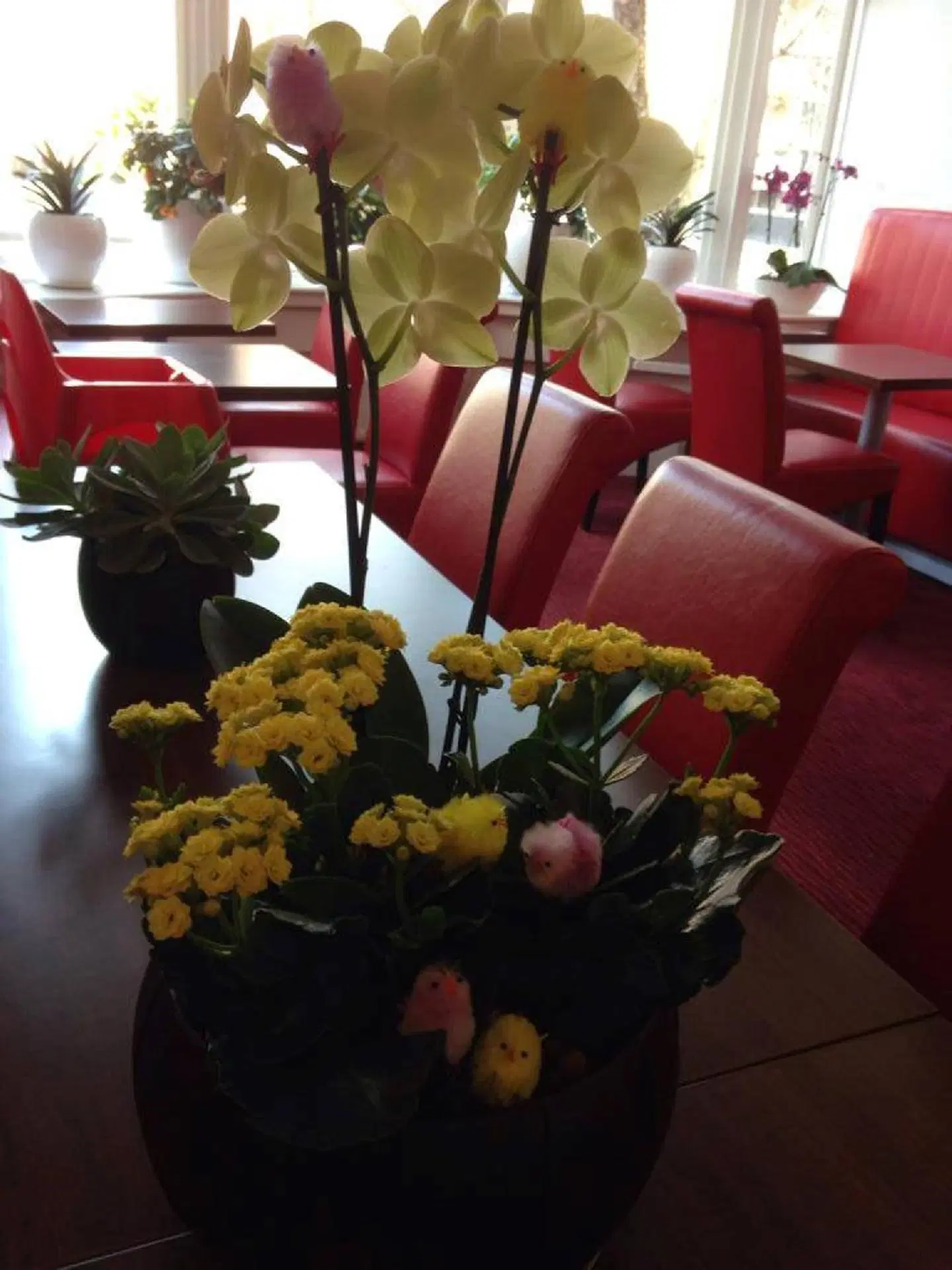 Allure Restaurant