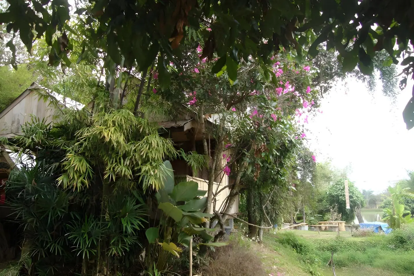 Baan Suan Jantra Home Stay Garten