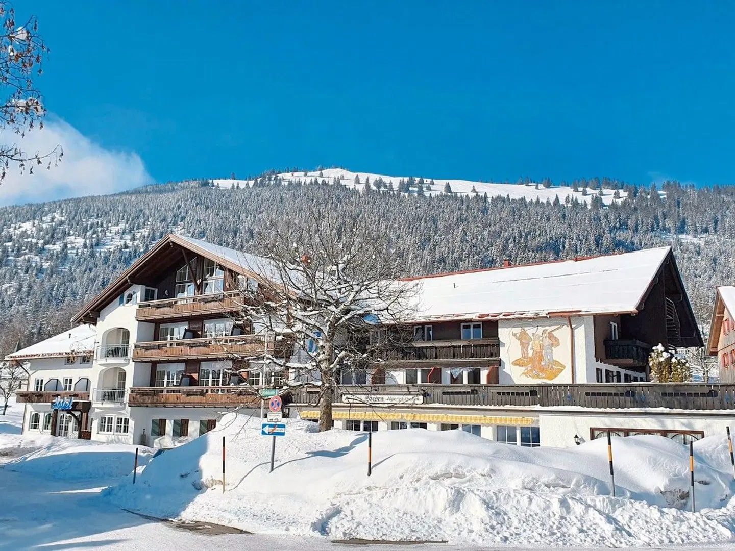 Hotel-Alpengasthof "Löwen" EXTERIOR