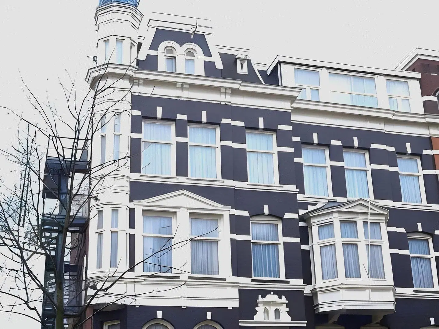 Owl EXTERIOR