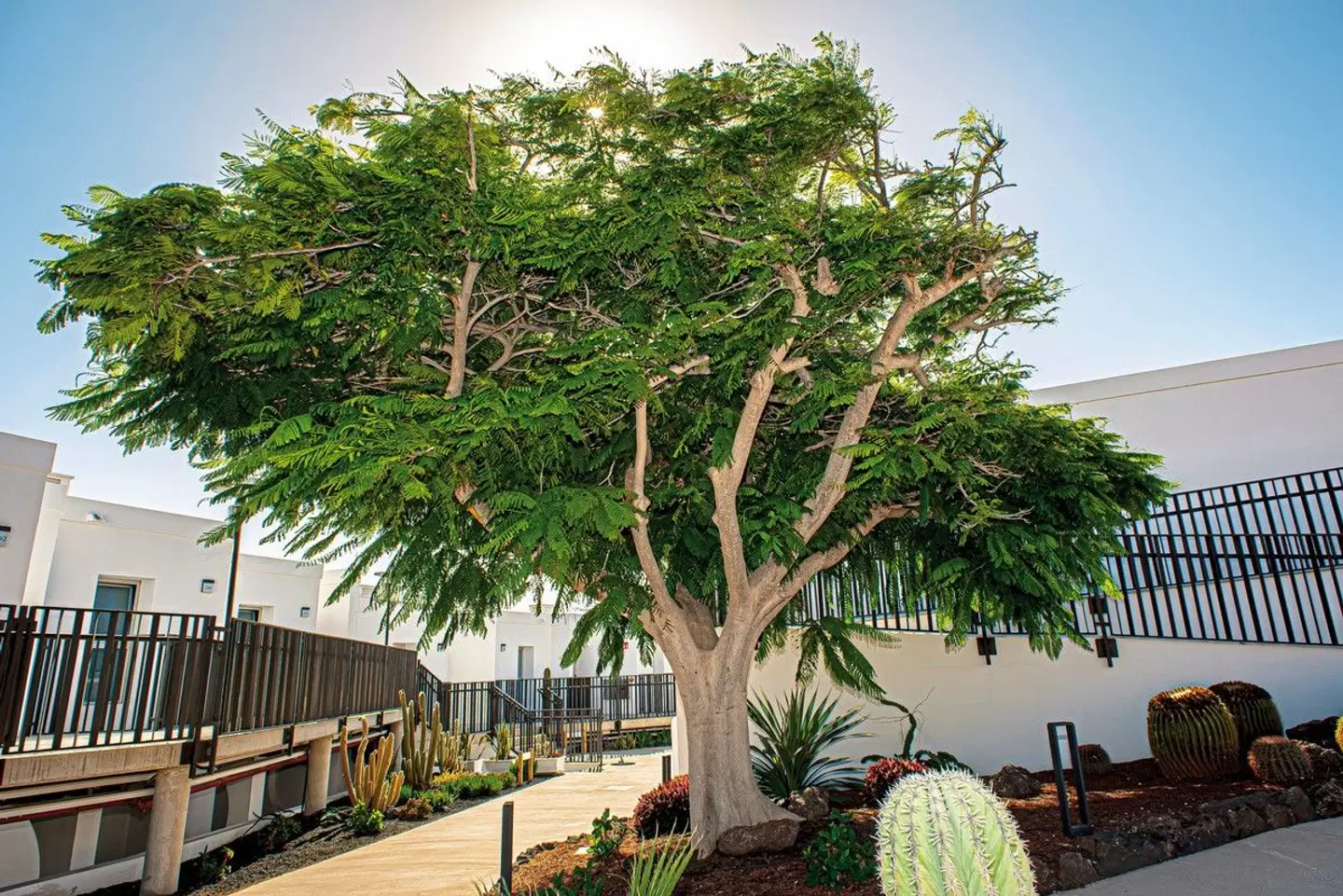 Taimar Garten