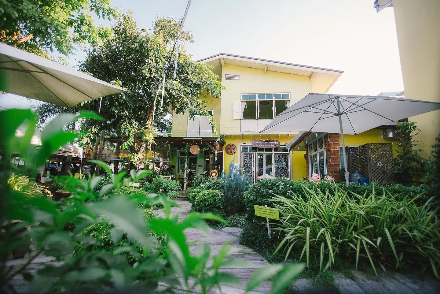 Suan Tung Coffee EXTERIOR