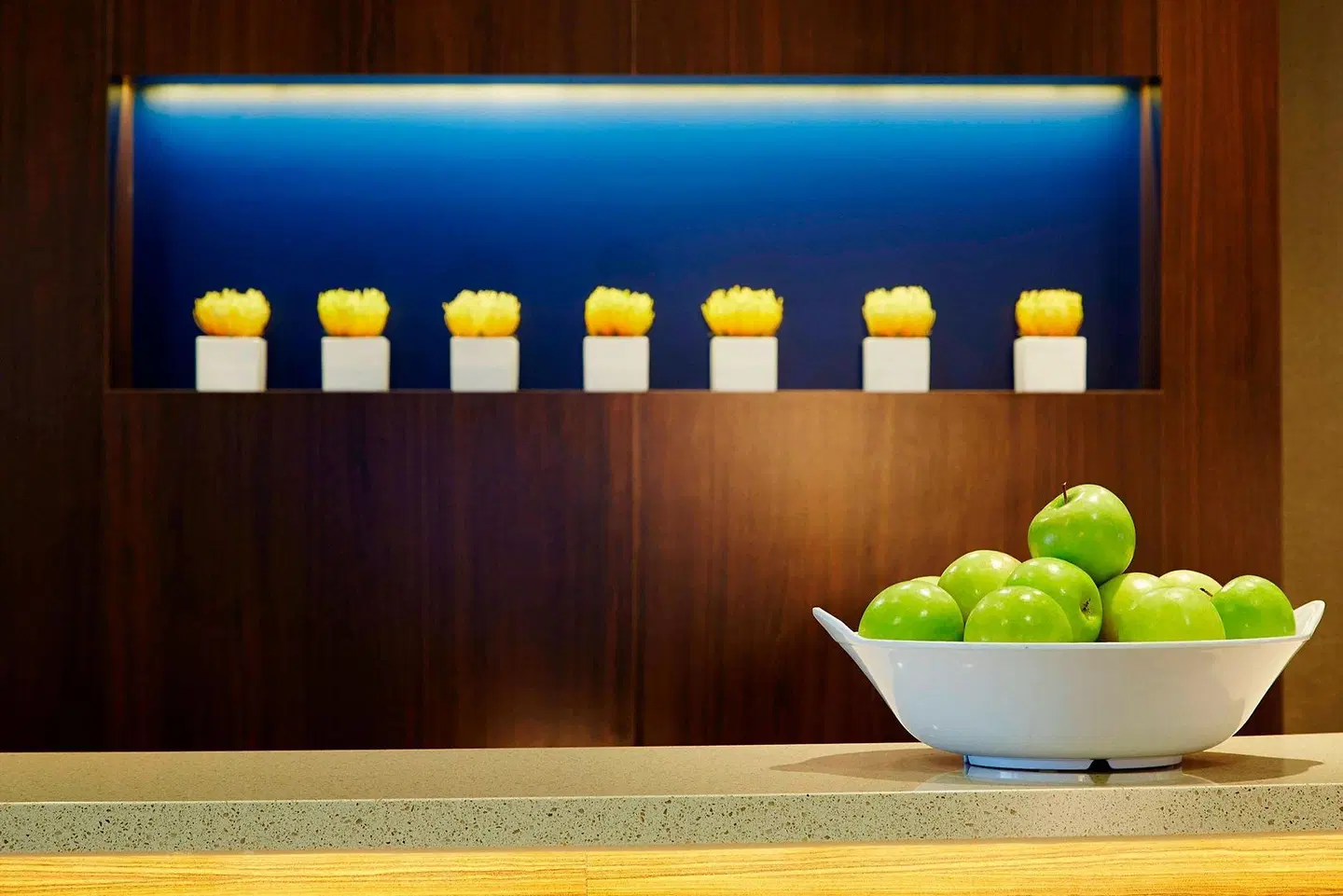 Courtyard by Marriott Boston Woburn/Boston North Konferenz