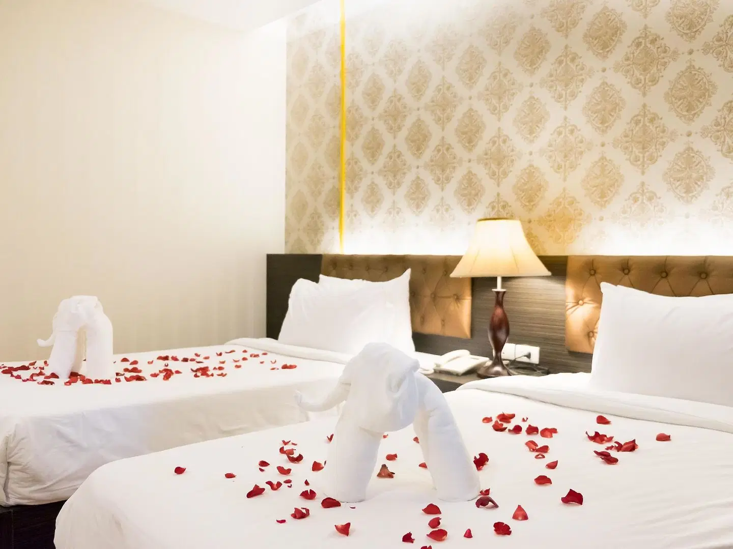 The Y Boutique ROOM_EXAMPLE