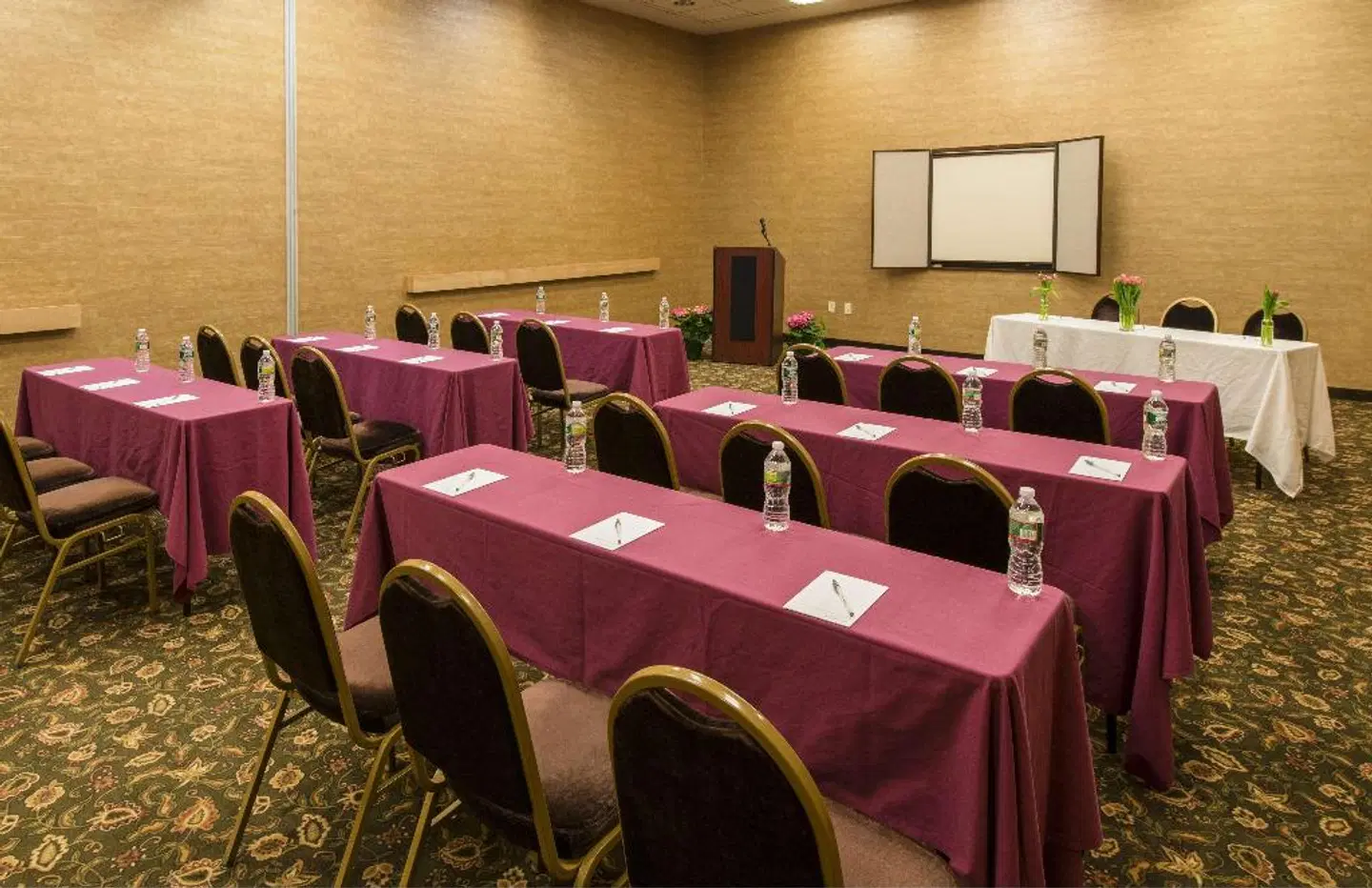 Hampton Inn & Suites Boston Crosstown Center Konferenz