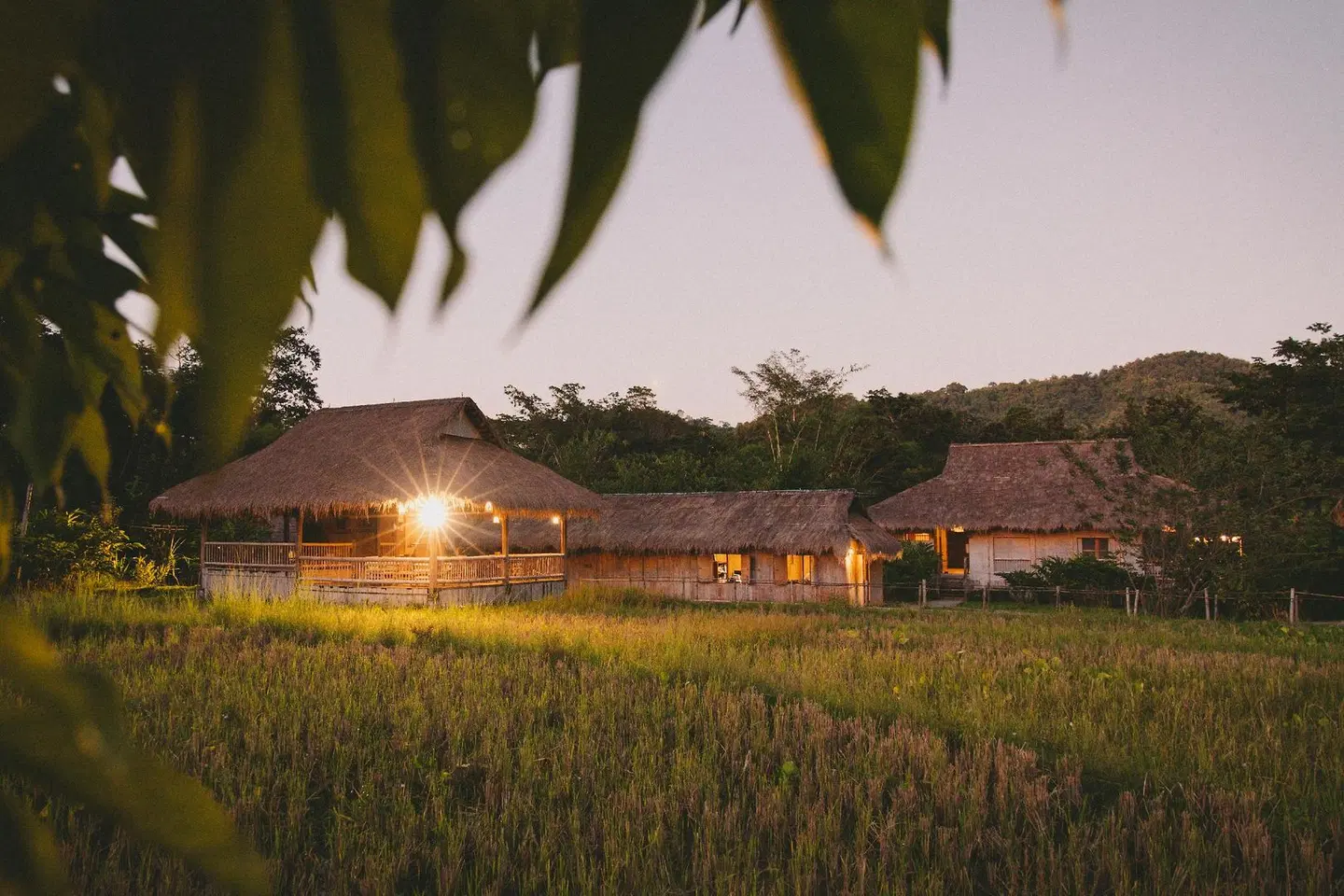 Lisu Lodge EXTERIOR