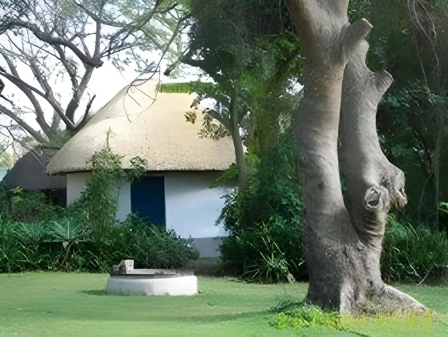 Blue Cottages Tiere