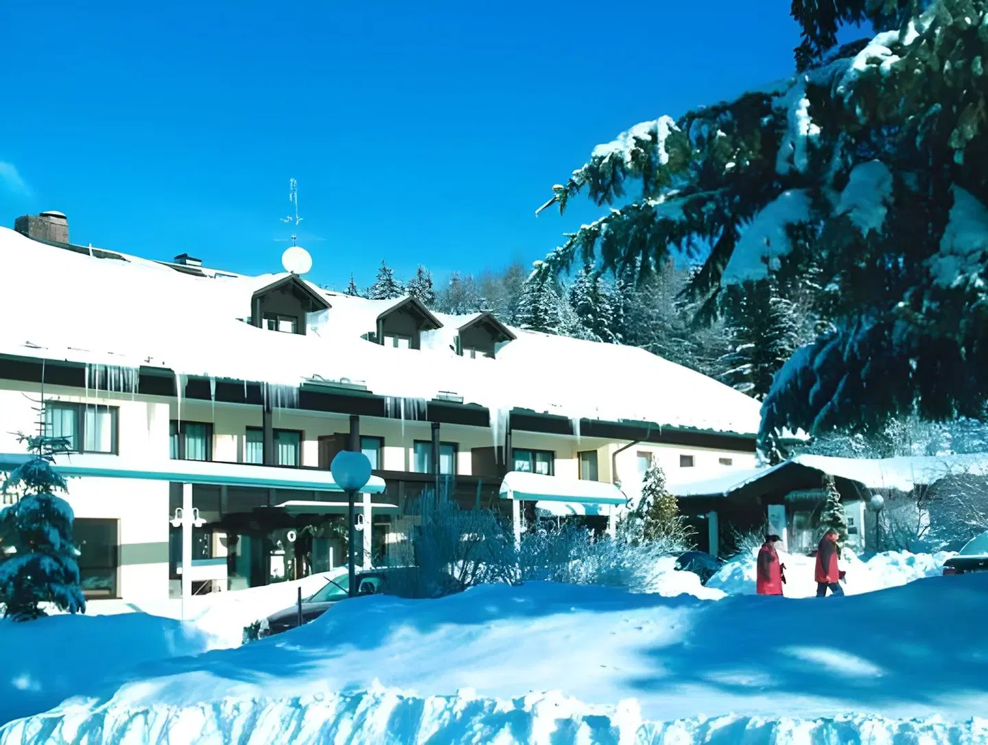 Böhmhof Wellness- & Vitalhotel OUTDOOR_POOL