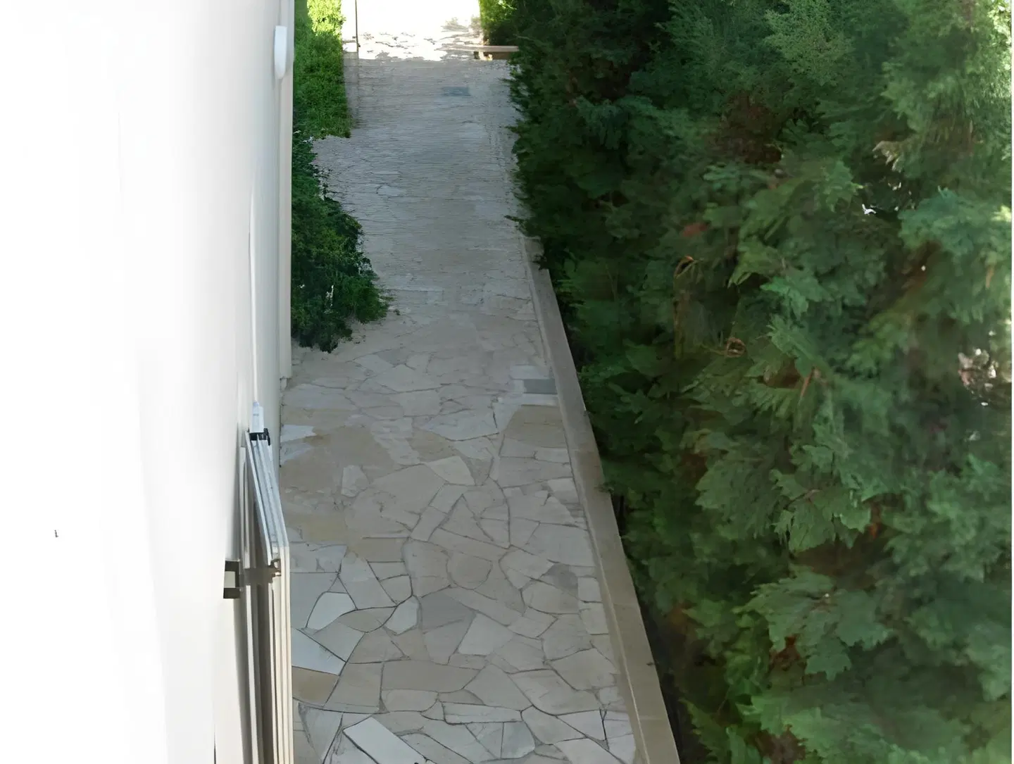 Asfodelos Terrasse