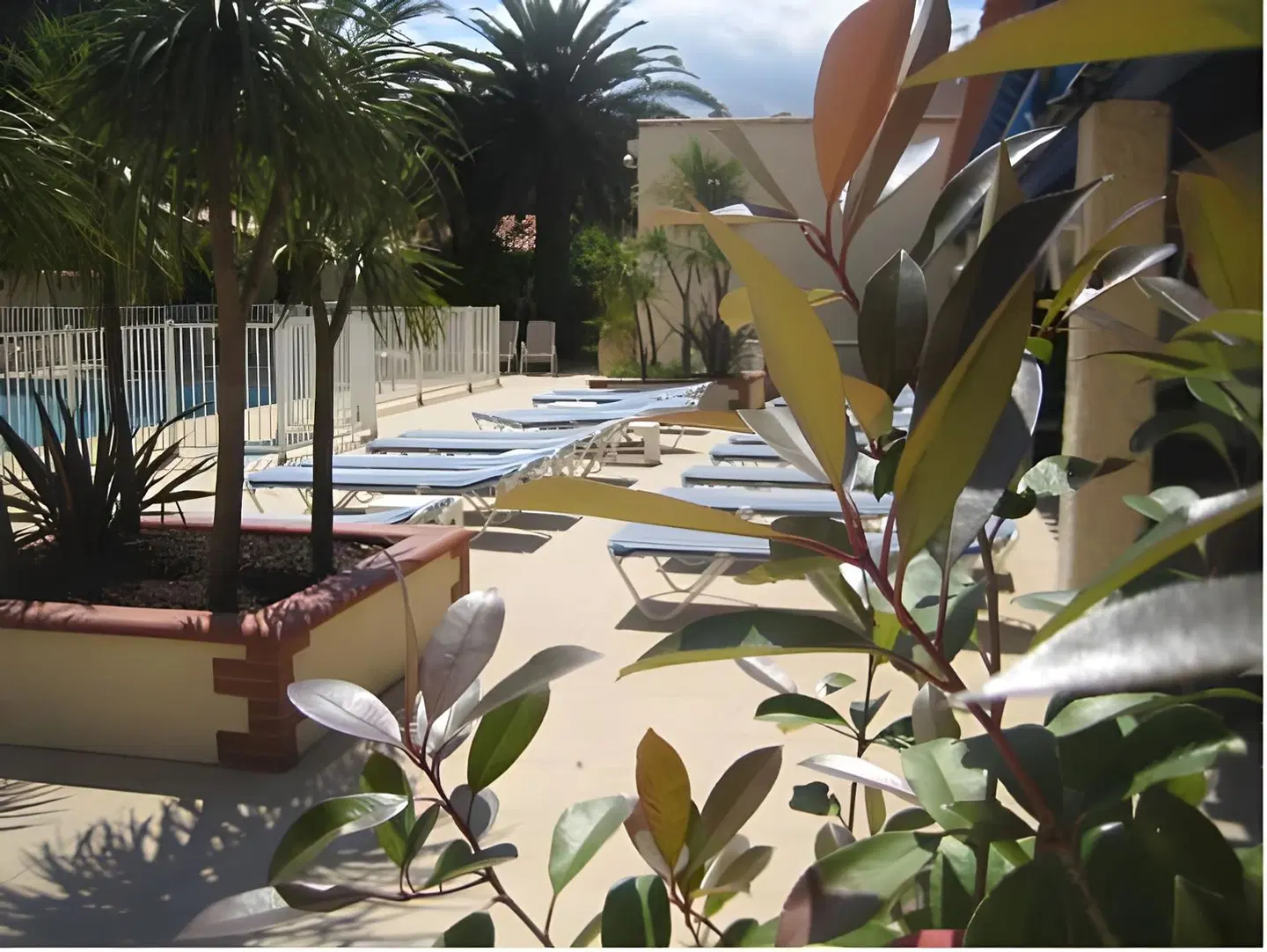 Plage des Pins Terrasse