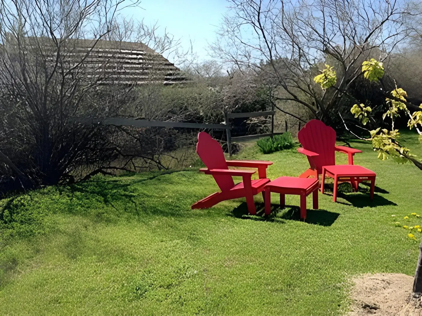 Mas Des Salicornes Garten