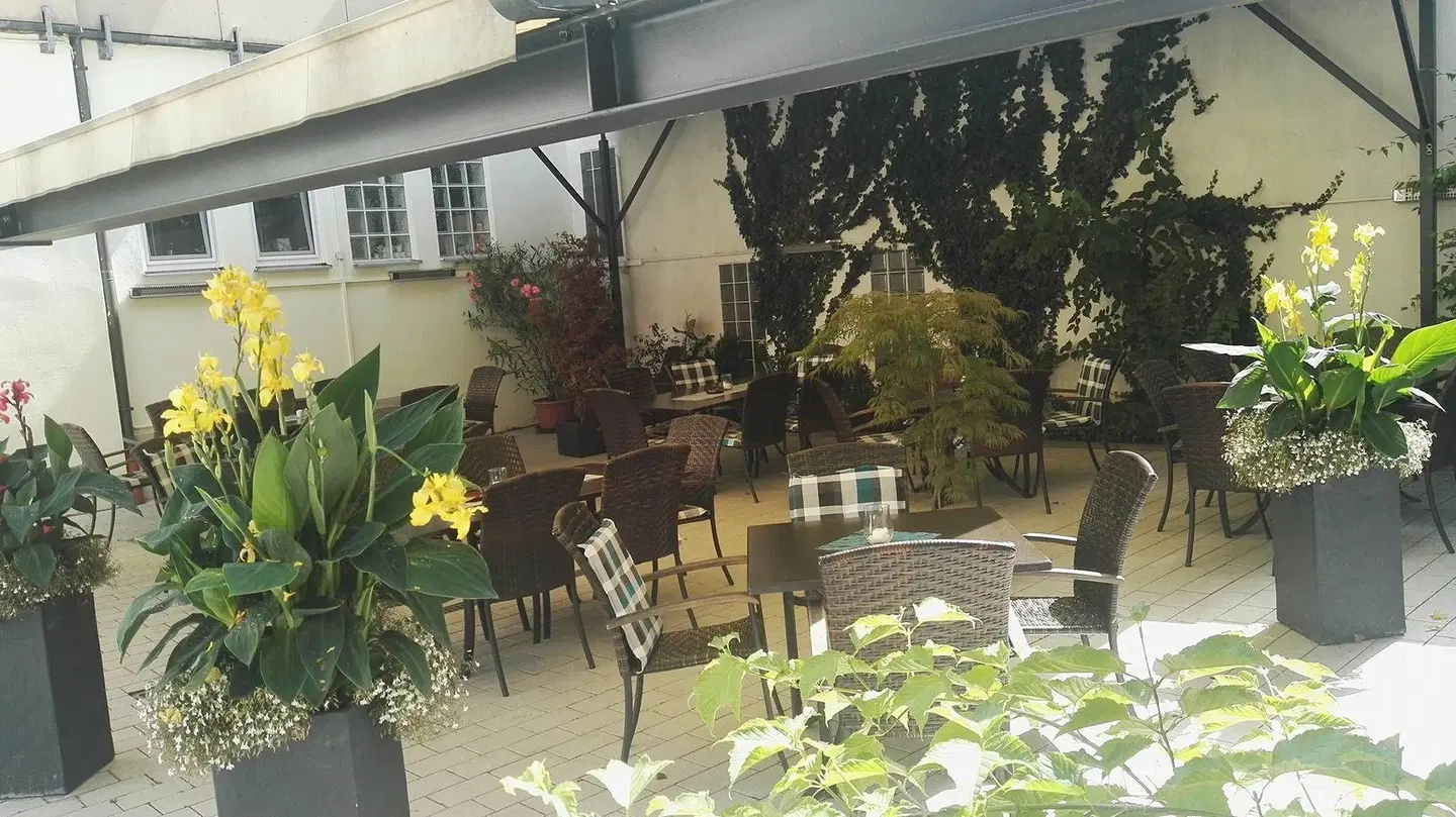 Grüner Baum Restaurant