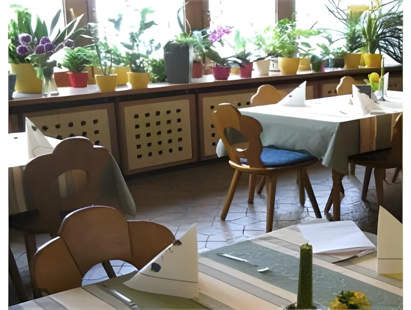 Grüner Baum Terrasse