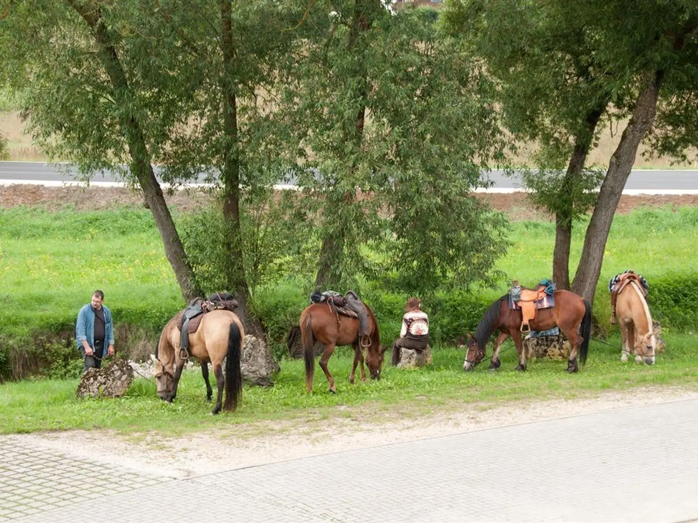 Landgasthof Feihl Tiere