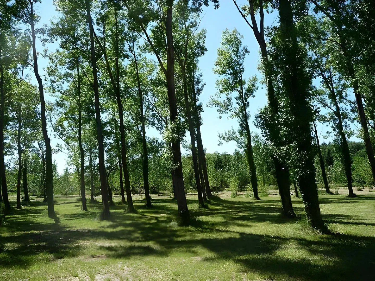 Résidence Les Peupliers LANDSCAPE