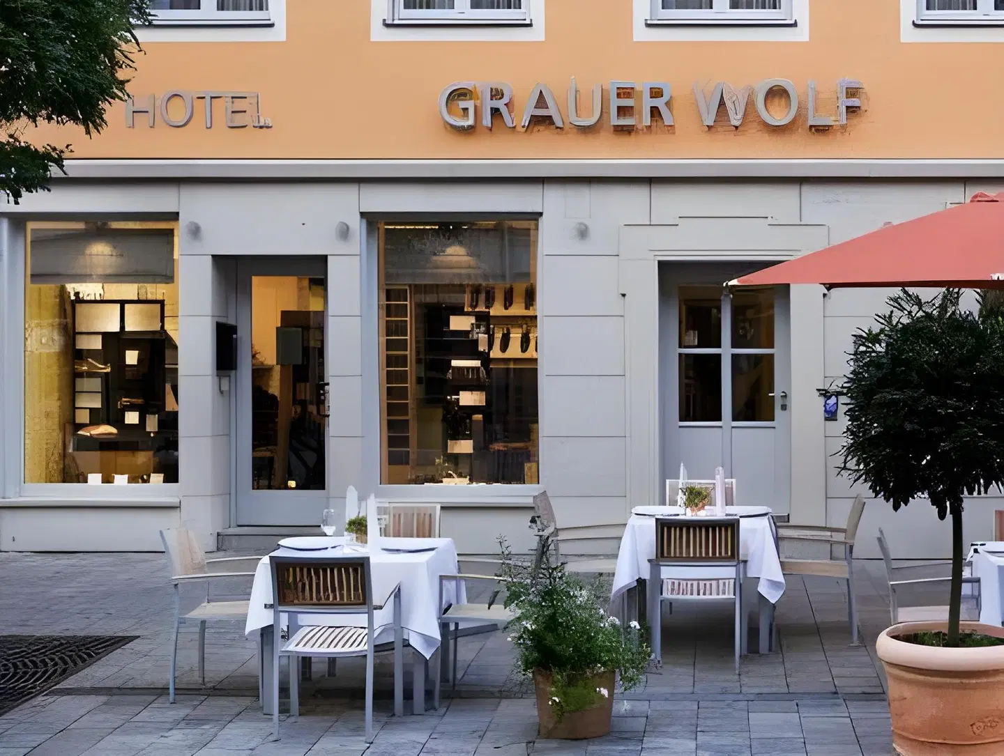 Grauer Wolf EXTERIOR