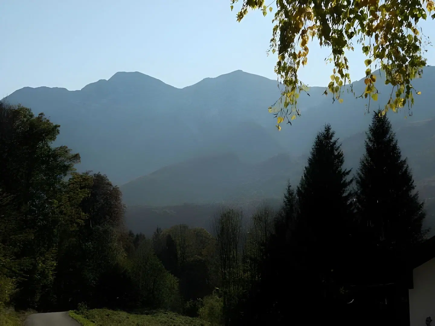 Lindwurm LANDSCAPE