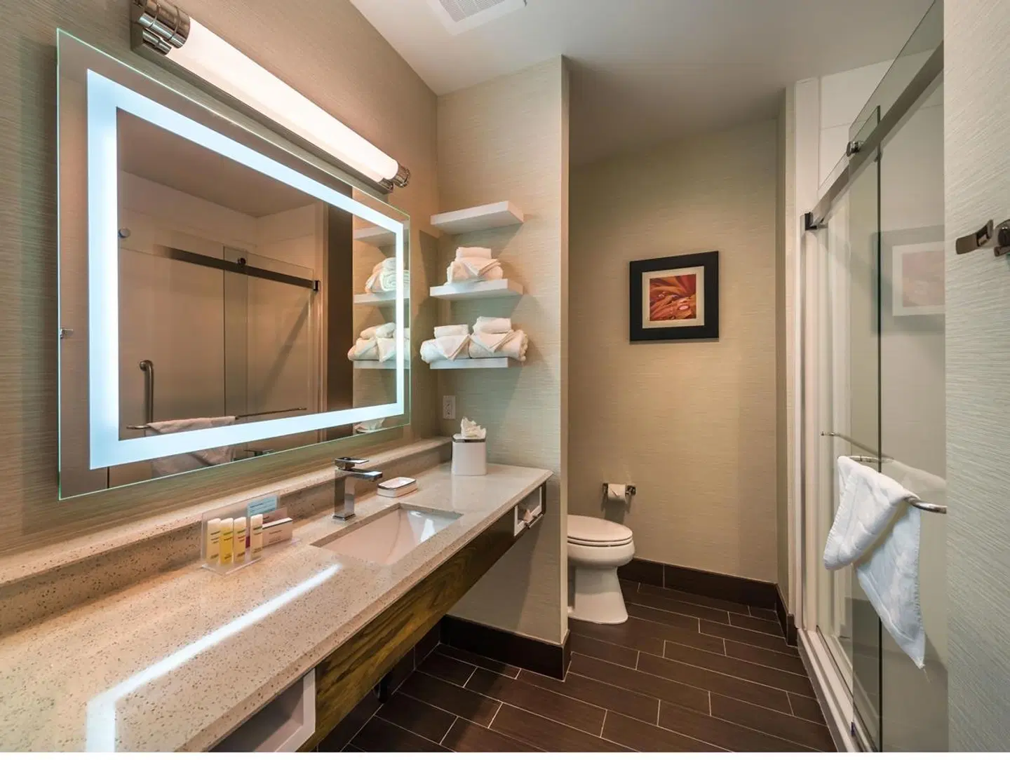 Hampton Inn & Suites Reno West Badezimmer