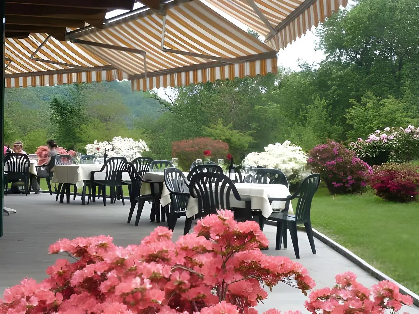 Il Castagno Restaurant