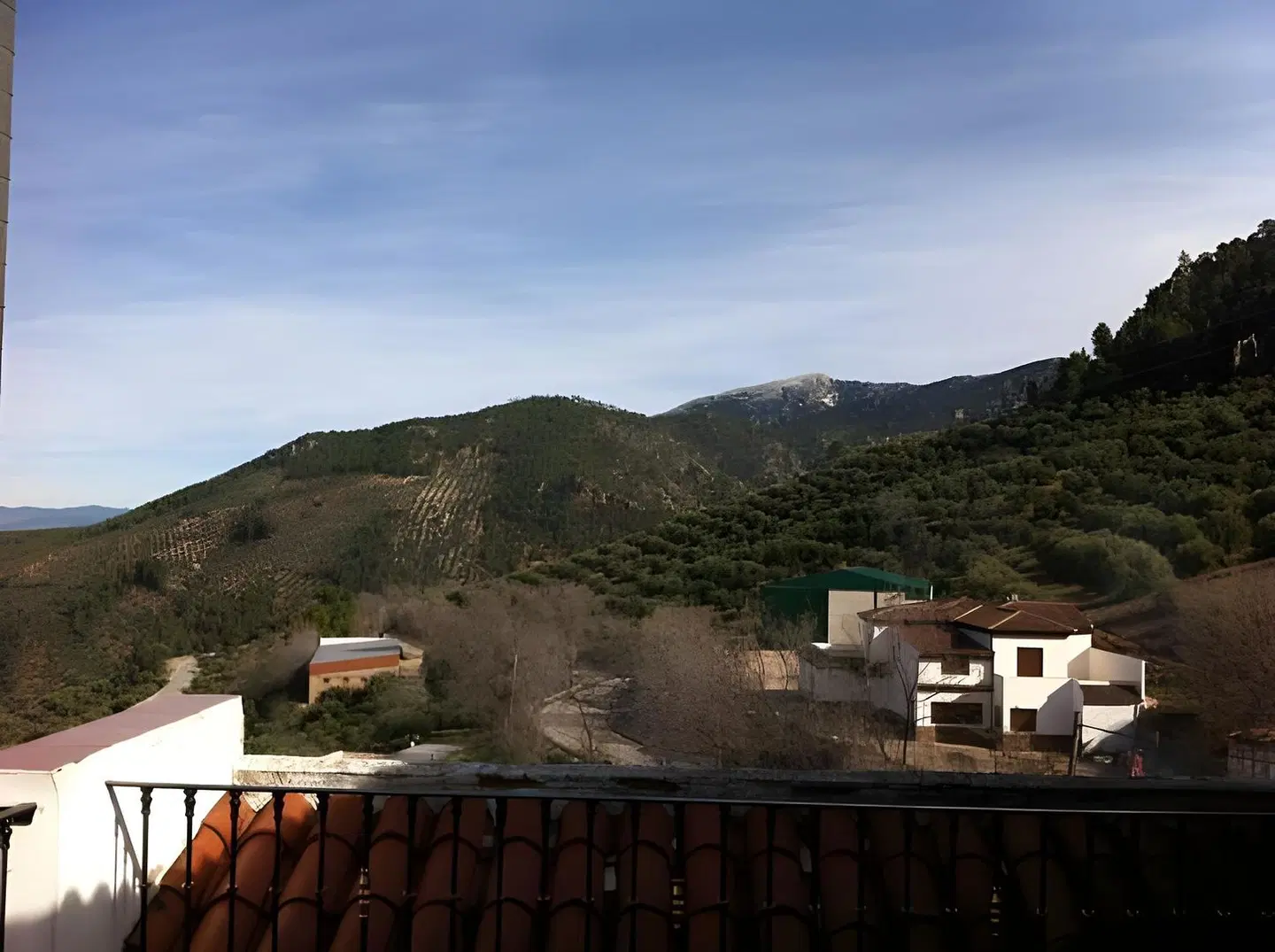 Apartamentos Raisa LANDSCAPE